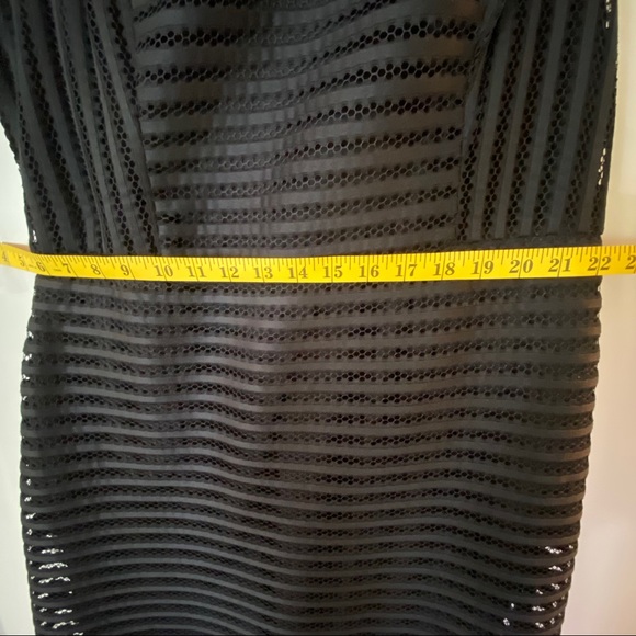 DRESS The Limited. Sheer stripe overlay - Picture 3 of 4